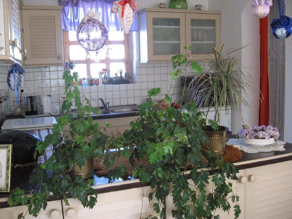 Pension Óvári Bük Habitación foto